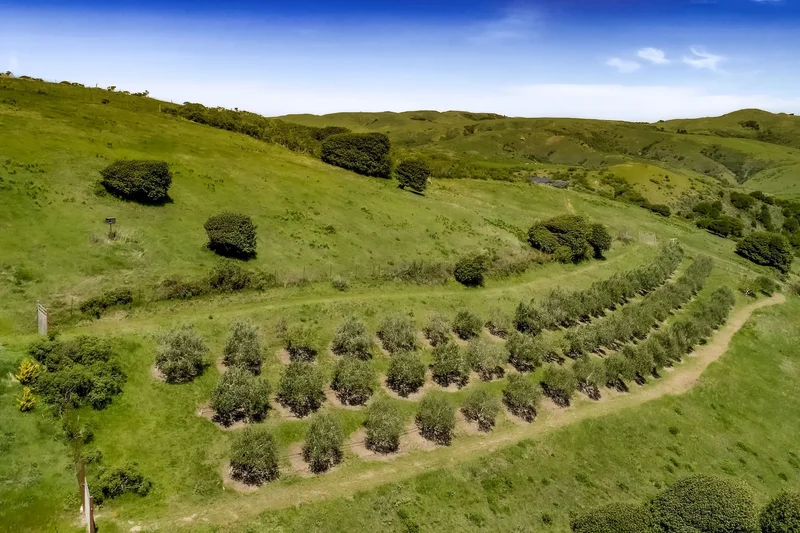 333-345 Willow Road, Nicasio, CA 94946, Point Reyes Station, California, United States. - Photo 42