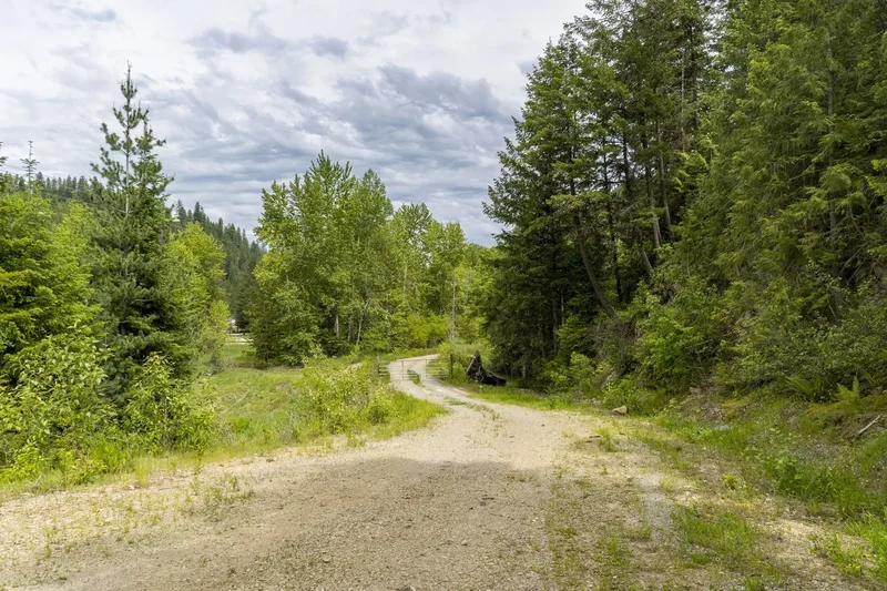 NKA Coeur d'Alene River Rd, Kingston, ID 83839, 83839, Idaho, United States. - Photo 13