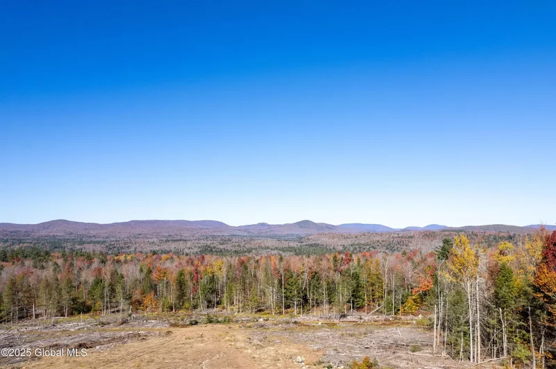 627 Lily Lake Road, Bleecker, NY 12078, Gloversville, New York, United States. - Photo 118