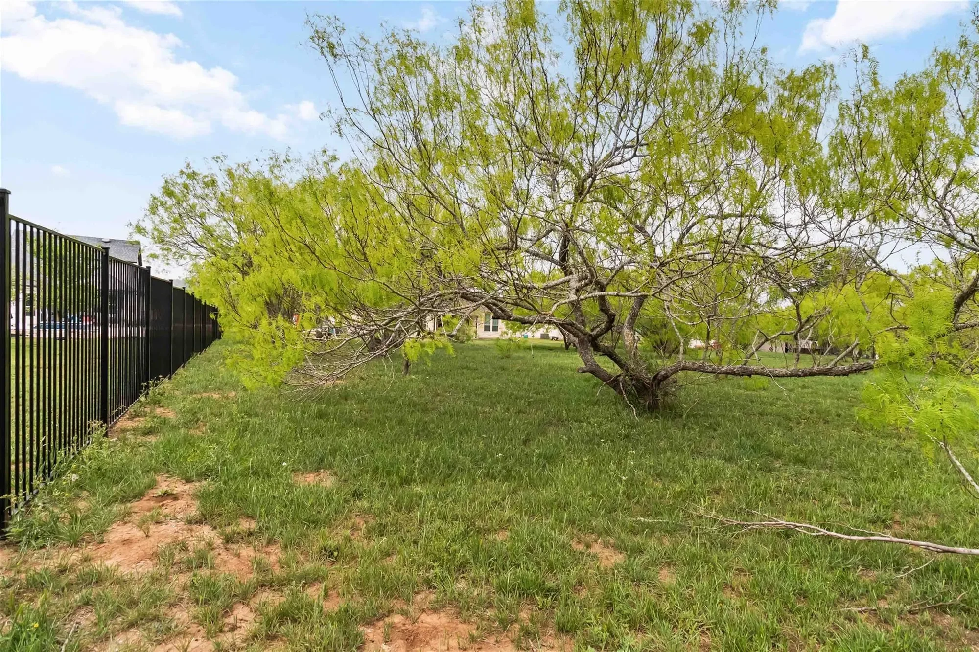 110 Buteo ST, Cedar Creek, Texas, United States. - Photo 34