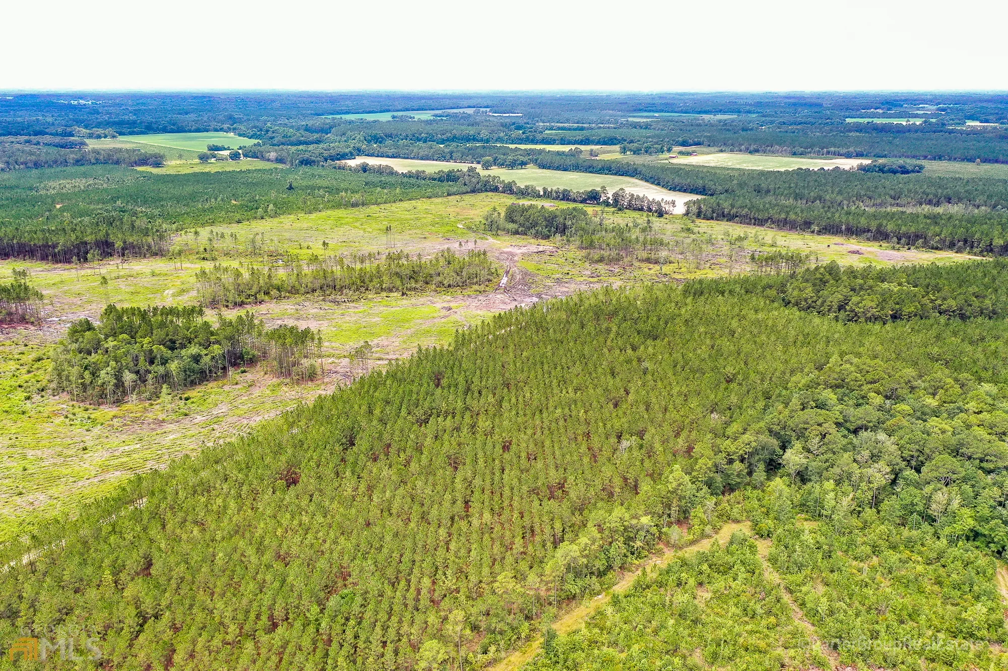 0 Miller Hayes Road, Waycross, GA 31503, Waycross, Georgia, United States. - Photo 6
