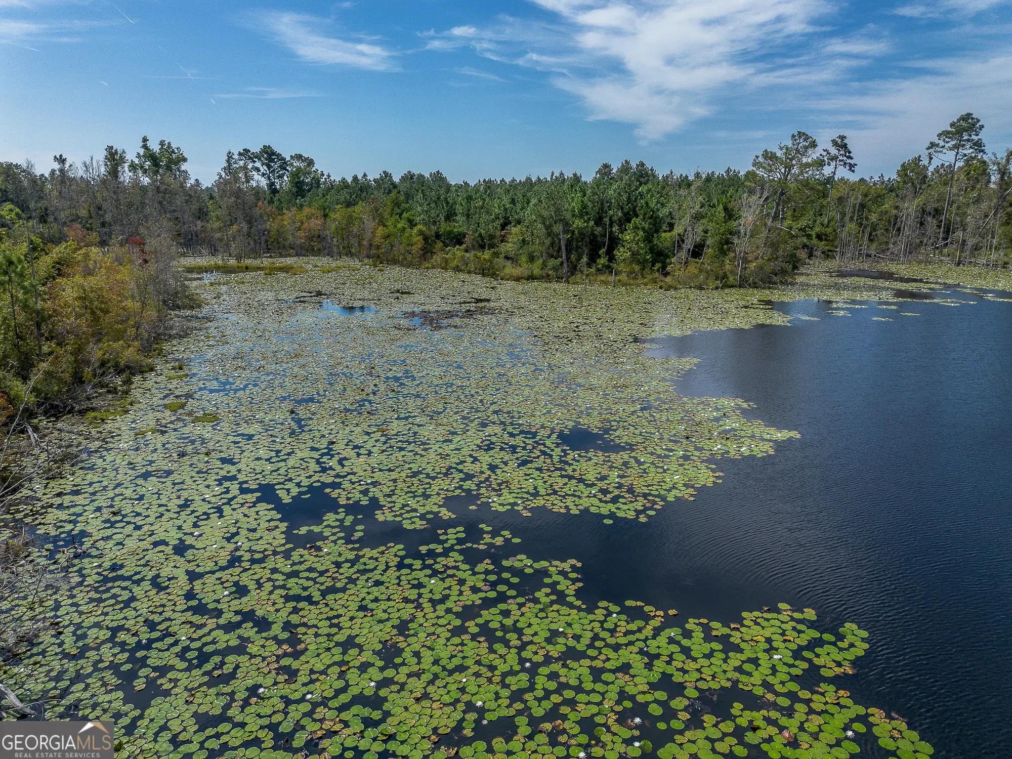 0 Rhonda Coleman, Hazlehurst, GA 31539, Hazlehurst, Georgia, United States. - Photo 18