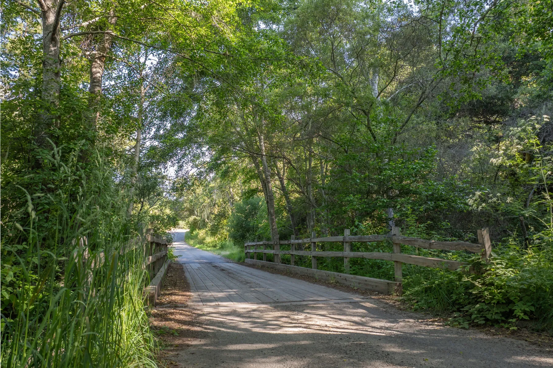 15 Potrero Trail (Lot 188), Carmel, CA 93923, Carmel-by-the-Sea, California, United States. - Photo 8