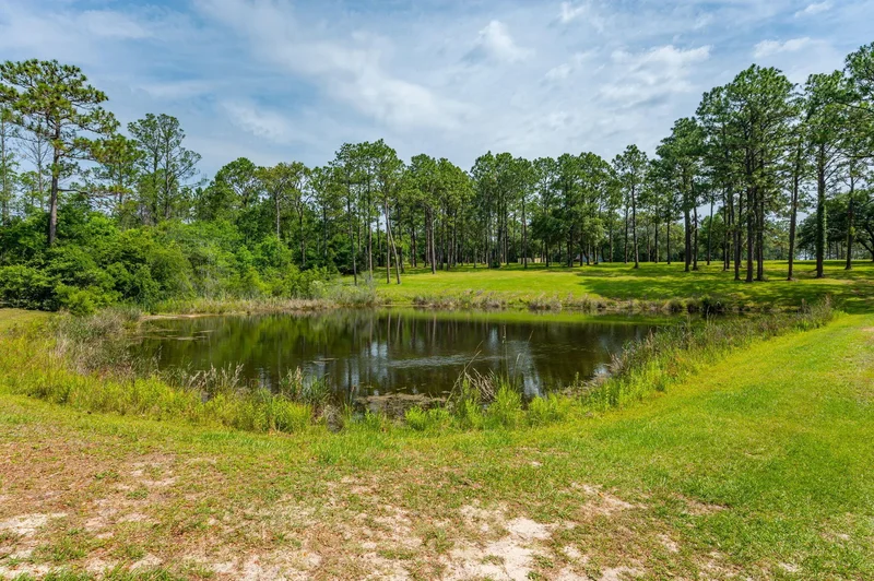 4869 Retta Lane, Crestview, FL 32536, Crestview, Florida, United States. - Photo 42