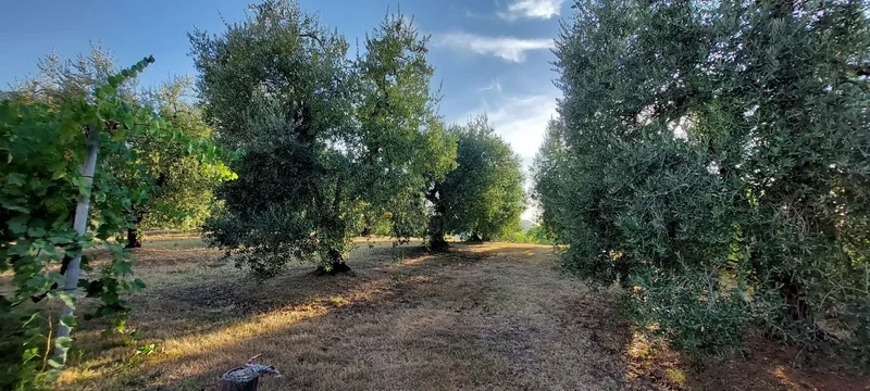 Pontedera, Tuscany, Italy. - Photo 12