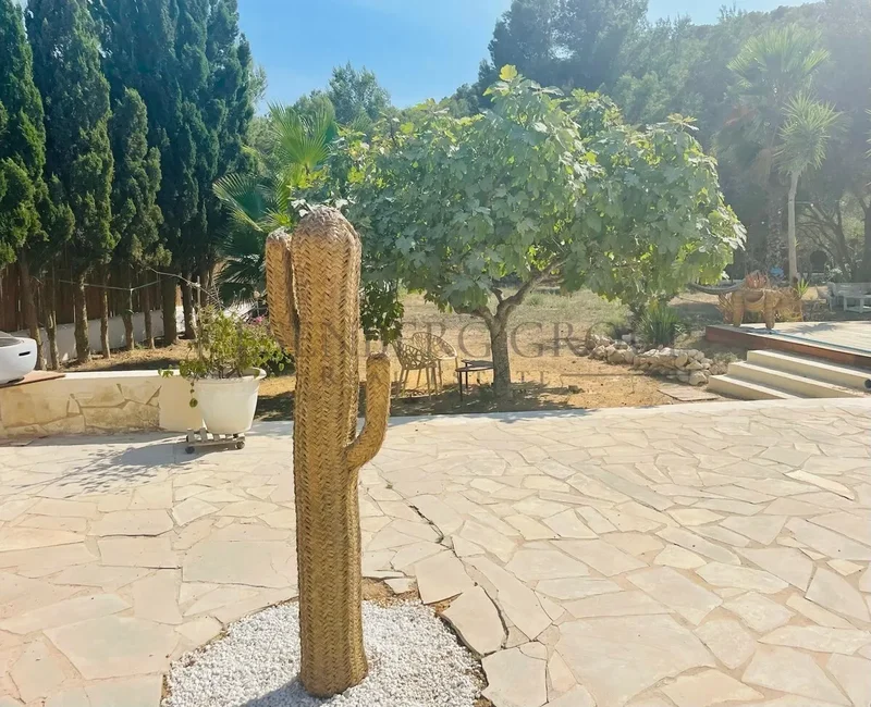 Sa Carroca, Balearic islands, Sa Carroca, Sant Josep de sa Talaia, Balearic Islands, Spain. - Photo 27