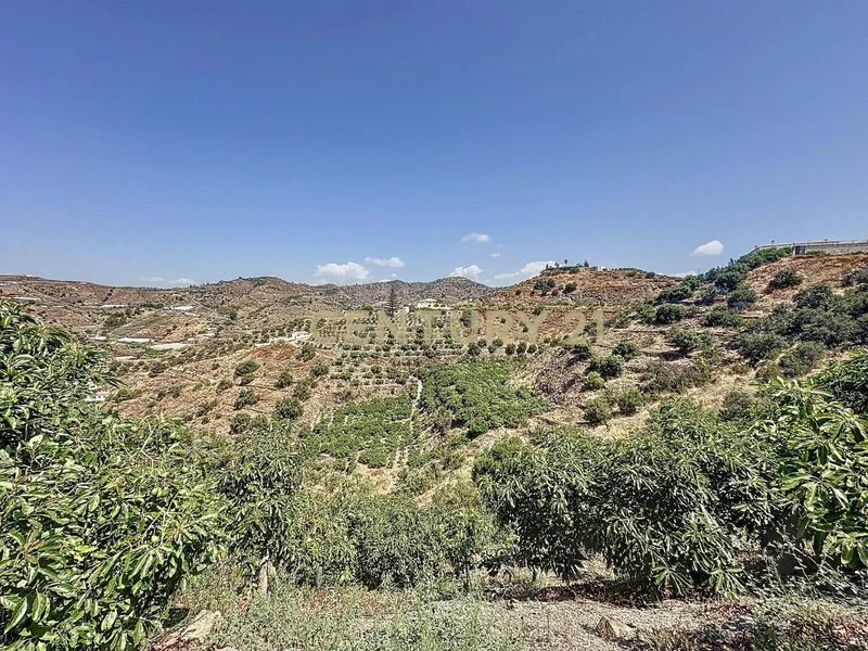 Diseminado Pago Manzano Bajo, Torrox, Spain, Torrox, Andalusia, Spain. - Photo 52