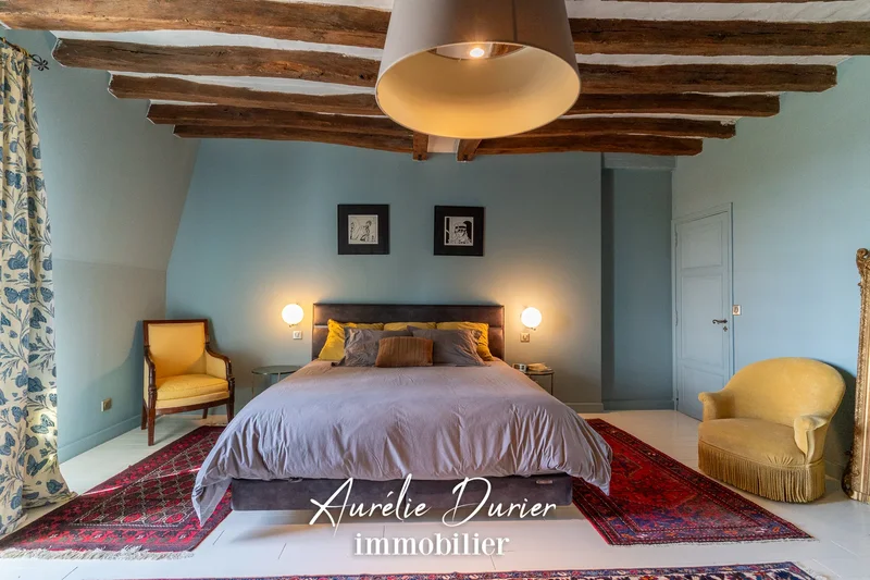 Tours, Centre-Val de Loire, France. - Photo 6