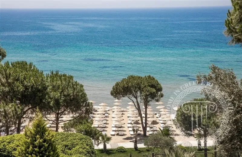 İzmir, Türkiye, İzmir, İzmir, Turkey. - Photo 29