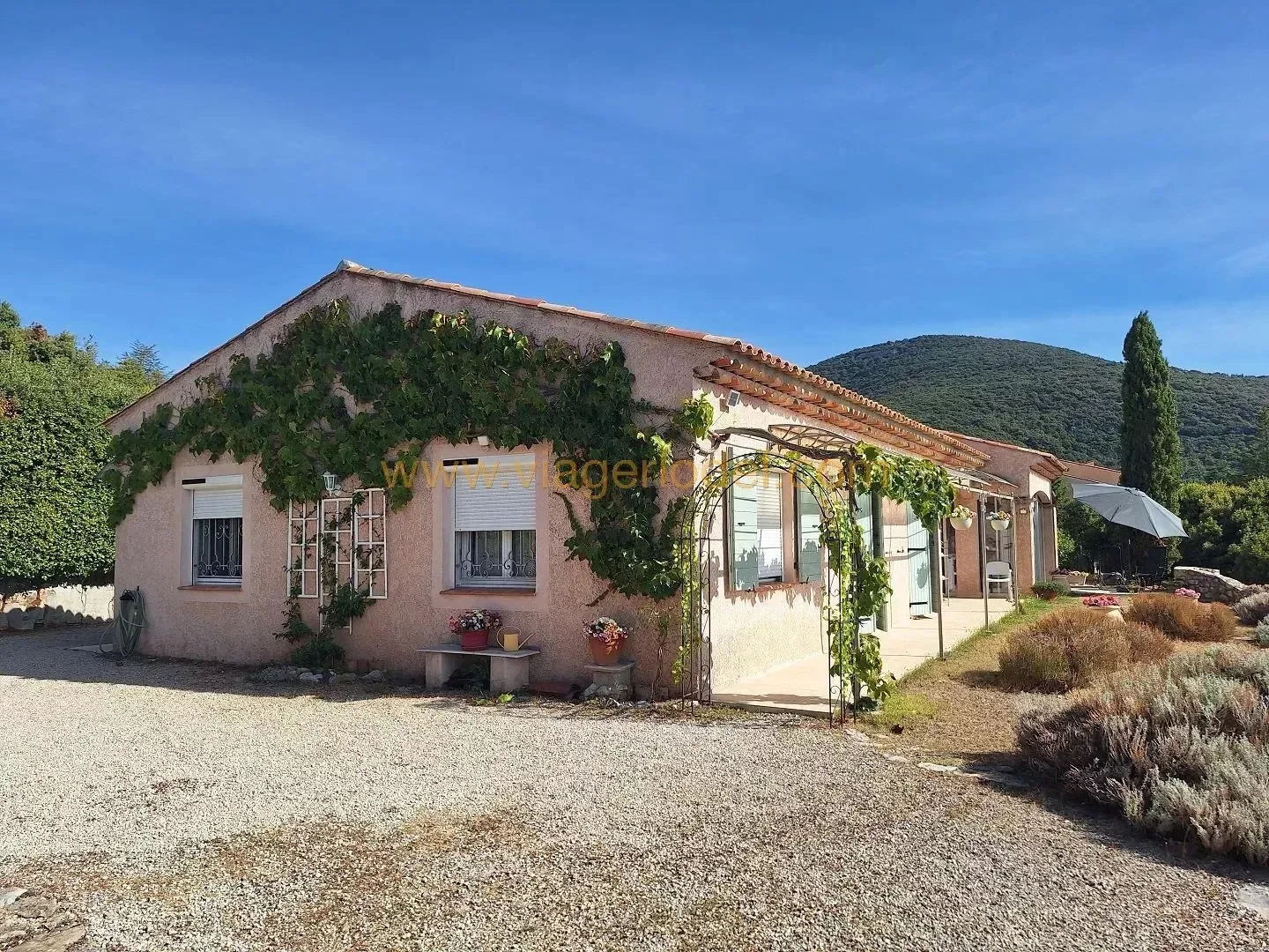 Mons, Provence-Alpes-Côte d'Azur, France. - Photo 8