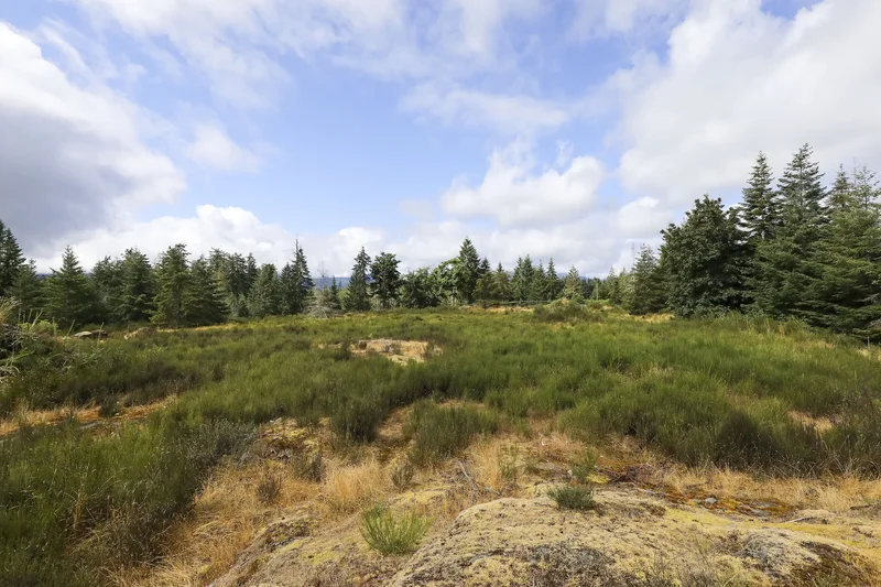 8855 Central Lake Road, Port Alberni, BC V9Y 8Z1, Port Alberni, British Columbia, Canada. - Photo 8