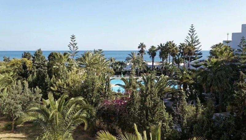 Hammamet, Nabeul, Tunisia. - Photo 10