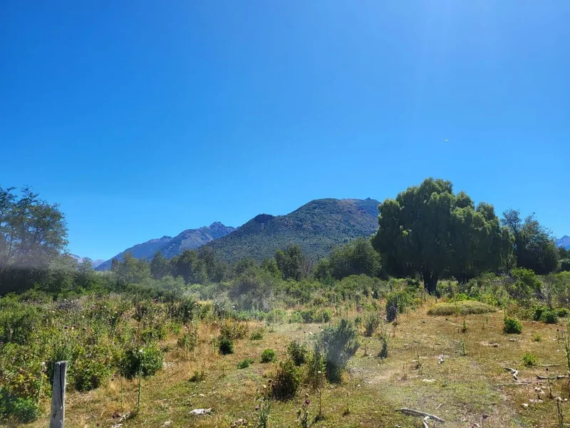 Campo de 444, Cushamen, ARGENTINA, Cushamen, Chubut Province, Argentina. - Photo 35