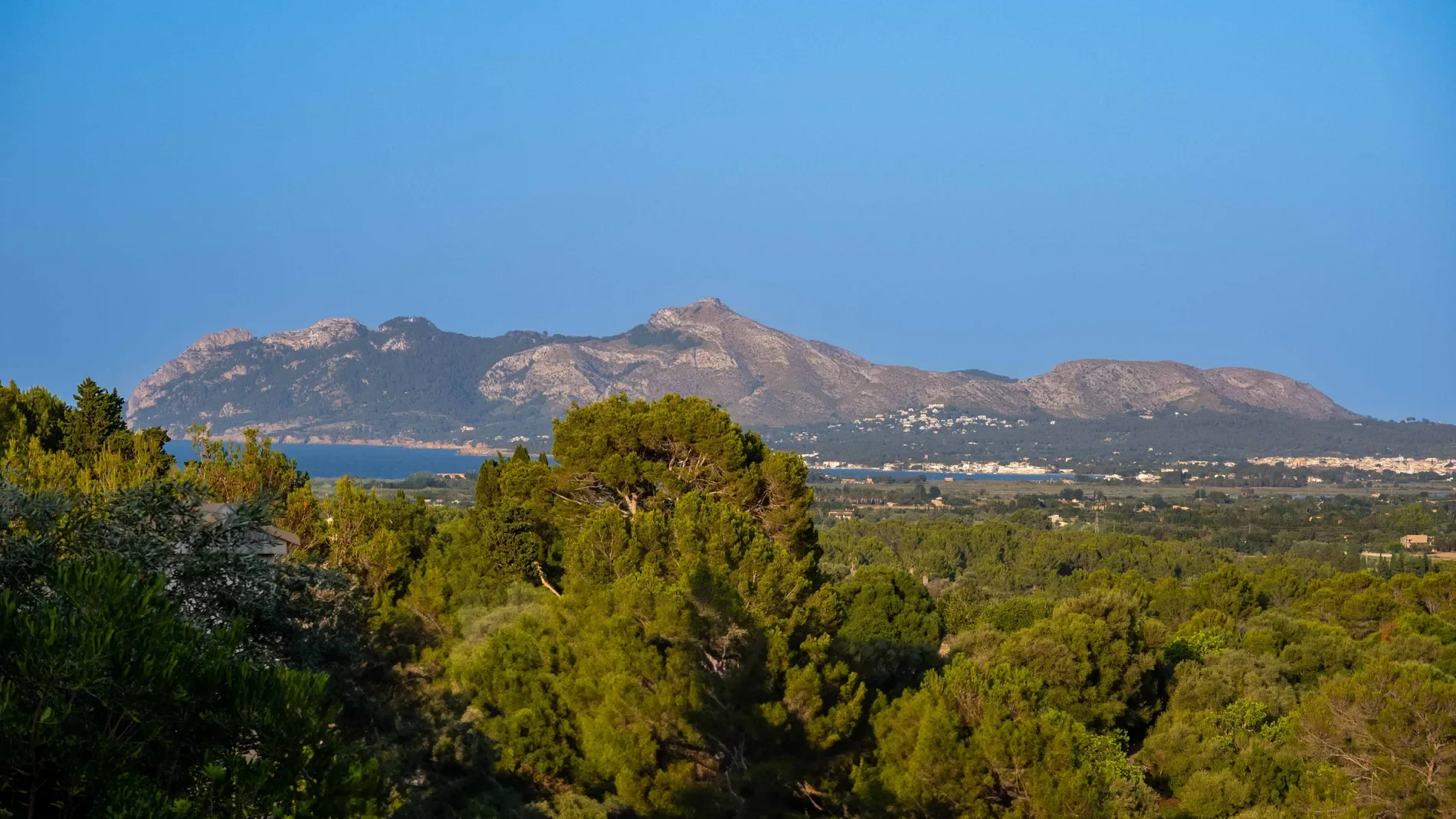 Pollensa, Mallorca, Pollensa, Pollenca, Balearic Islands, Spain. - Photo 25