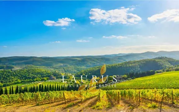 Vicopisano, Tuscany, Italy. - Photo 33