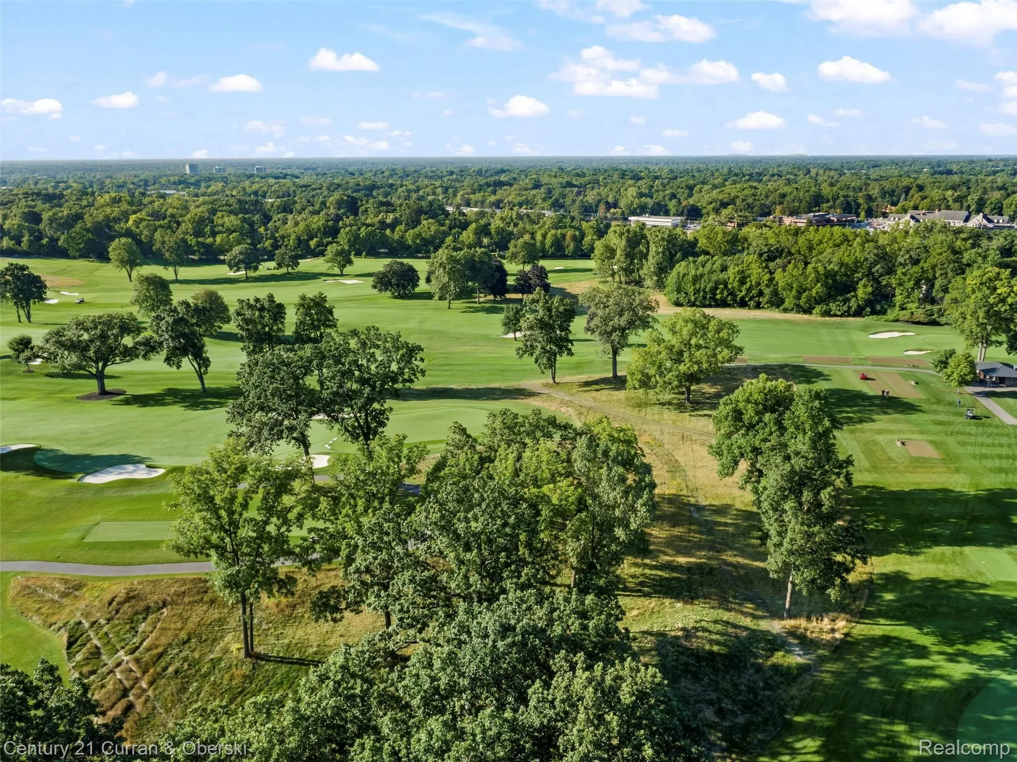 31685 Franklin Fairway Street, Farmington, MI 48334, Farmington Hills, Michigan, United States. - Photo 19