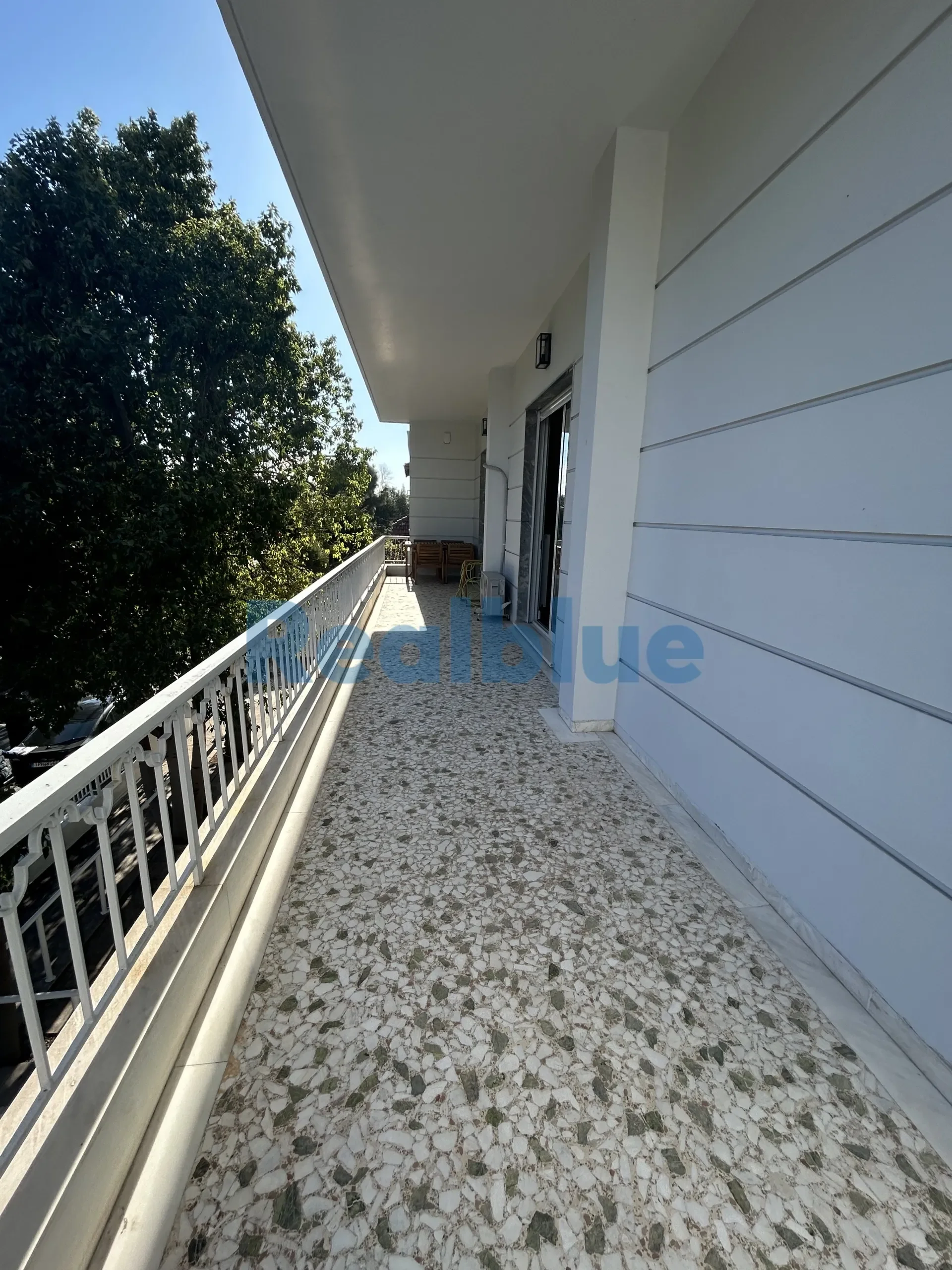 Gallery photo 12