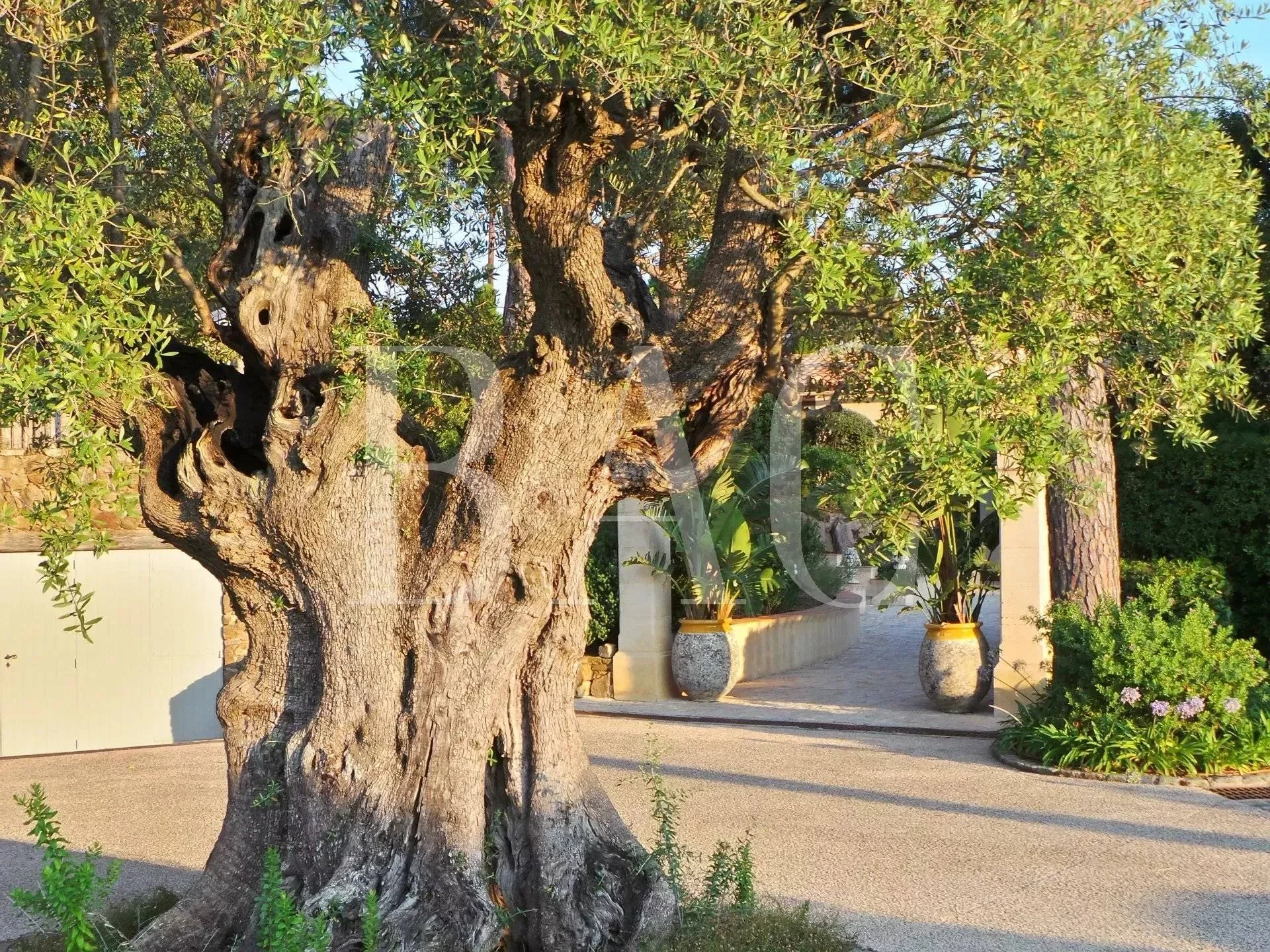 Ramatuelle, Provence-Alpes-Côte d'Azur, France. - Photo 35