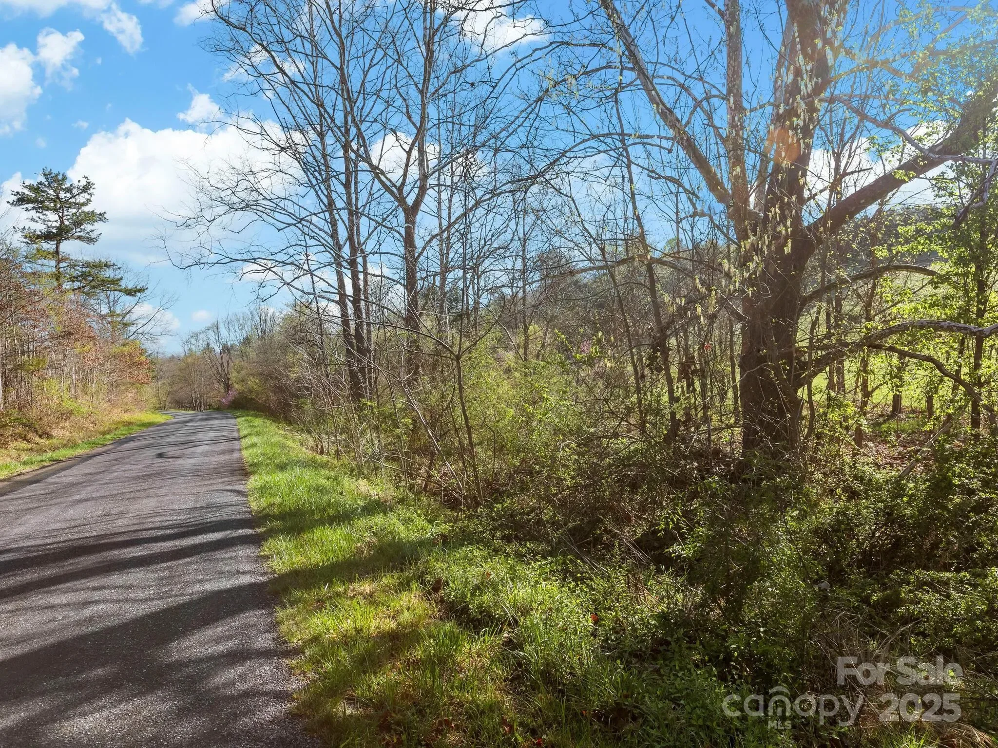 99999 Sprouse Town Road, Weaverville, NC 28787, Weaverville, North Carolina, United States. - Photo 18
