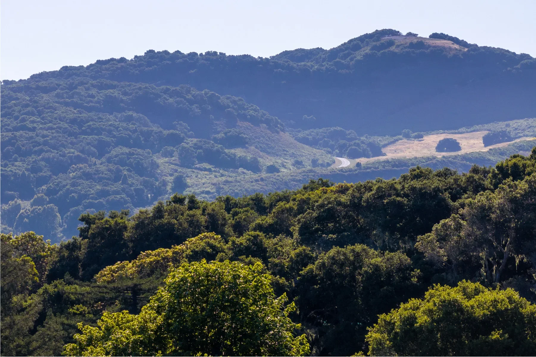 15 Potrero Trail (Lot 188), Carmel, CA 93923, Carmel-by-the-Sea, California, United States. - Photo 2