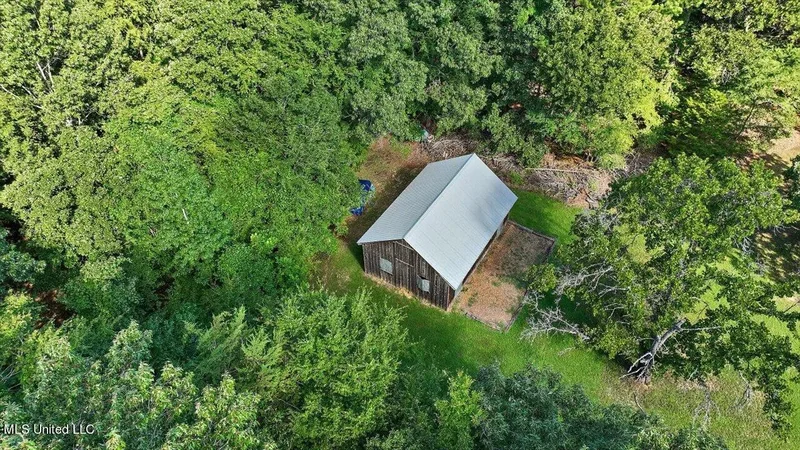 1063 Robinson Springs Road, Madison, MS 39110, Madison, MS, United States. - Photo 4