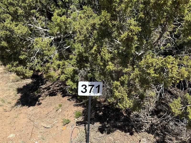 147 Avenida Frijoles, Santa Fe, NM 87507, Santa Fe, New Mexico, United States. - Photo 8