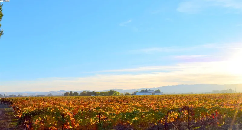 Brentwood, California, United States. - Photo 35