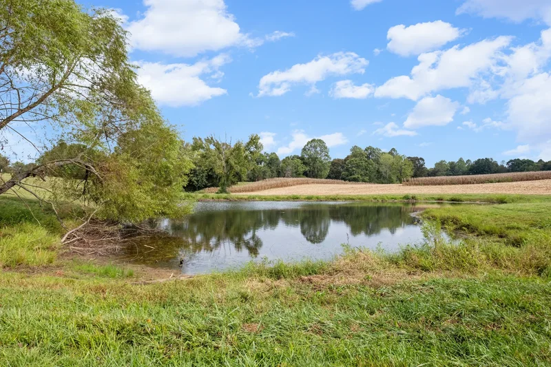9676 Heard Ridge Road , Monroe, TN 38573, Monroe, Tennessee, United States. - Photo 30