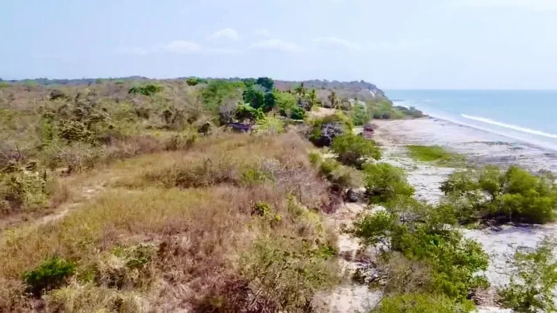 El Higo, Panama, El Higo, Provincia de Panamá Oeste, Panama. - Photo 10