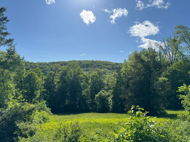 Rte 39 South, State Route, Sherman, CT 06784, Sherman, Connecticut, United States. - Photo 2