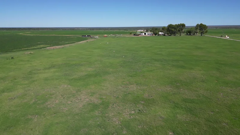 Douglas, Northern Cape, South Africa. - Photo 16