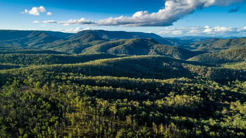 224 Wallaroo Range Rd, Willsons Downfall NSW 2372, Australia, Willsons Downfall, New South Wales, Australia. - Photo 51