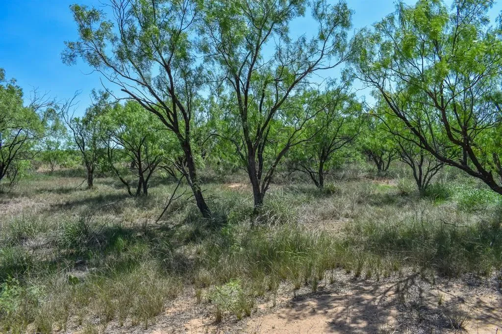 1025 FM 765, Lohn, Texas, United States. - Photo 25