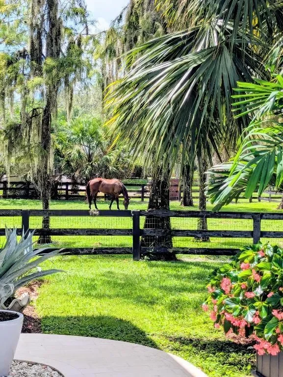 2317 Fawn Drive, The Acreage, FL 33470, The Acreage, Florida, United States. - Photo 55