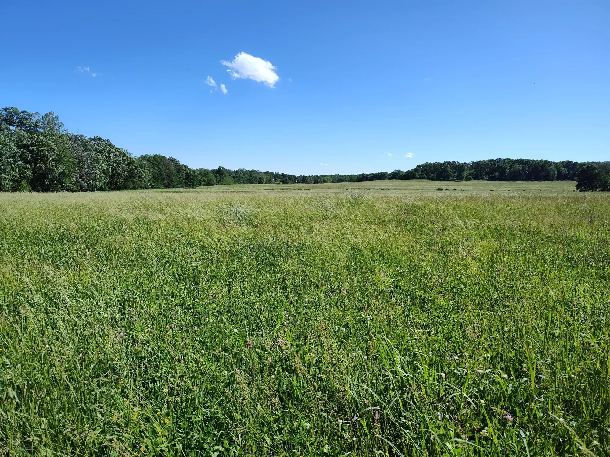 1898 E 332nd Road, Polk, MO 65727, Bolivar, Missouri, United States. - Photo 75