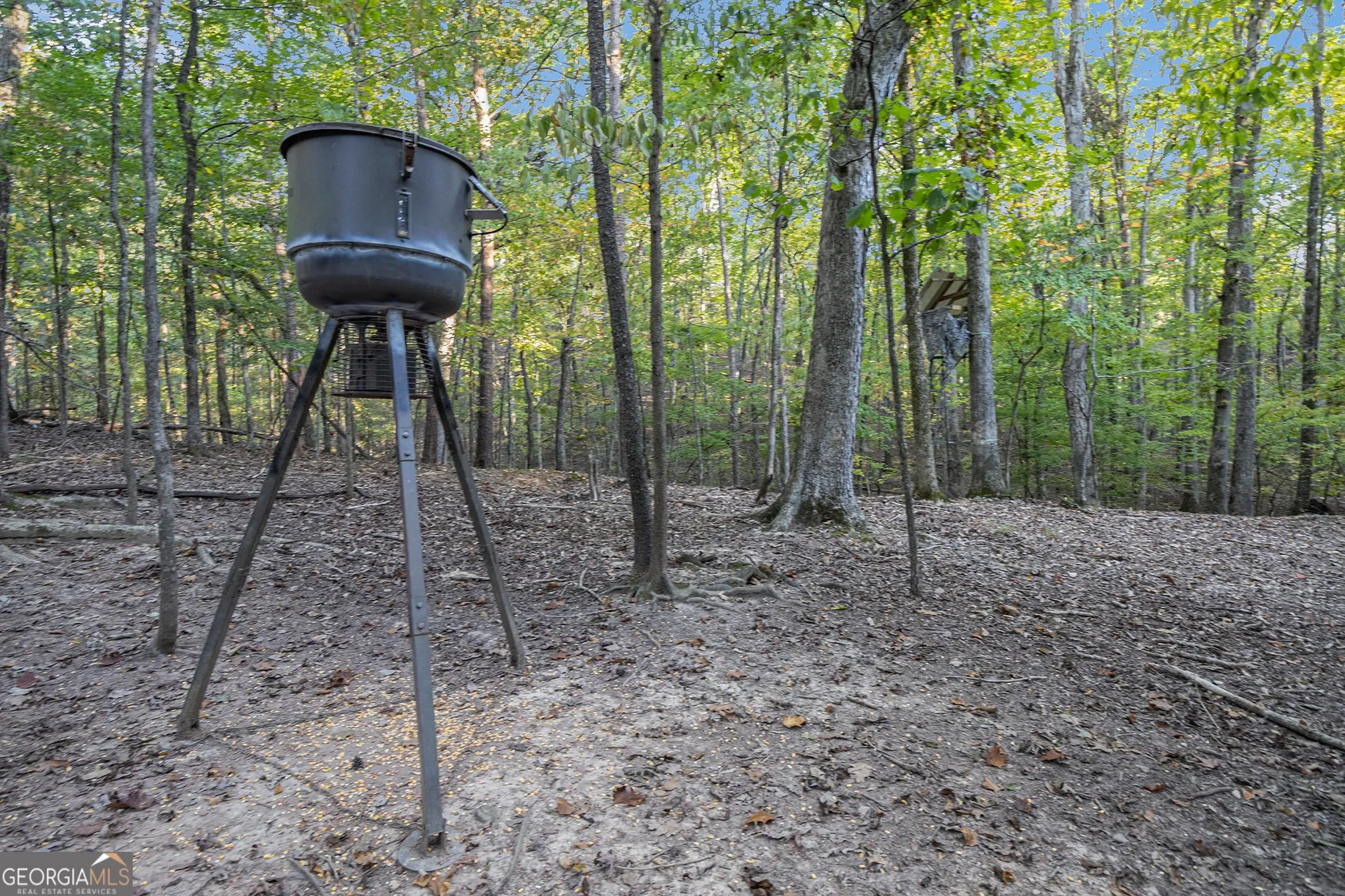 Aragon, Georgia, United States. - Photo 37
