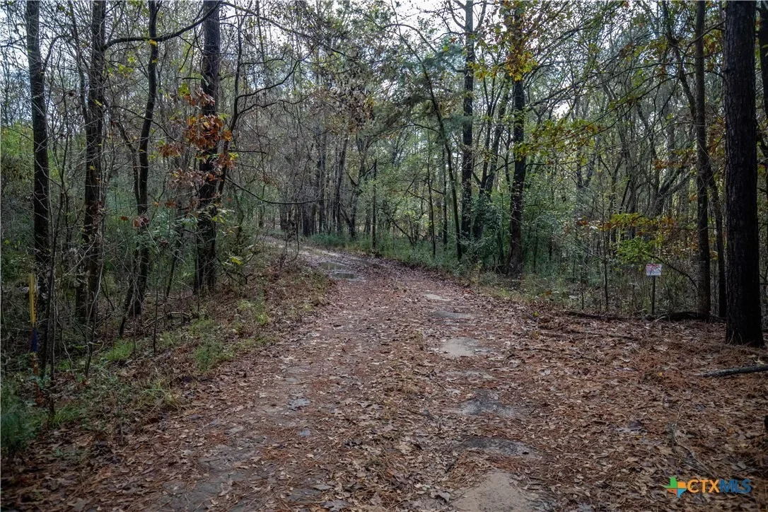 474 Pr 4311, White Oak, TX 75693, Longview, Texas, United States. - Photo 25