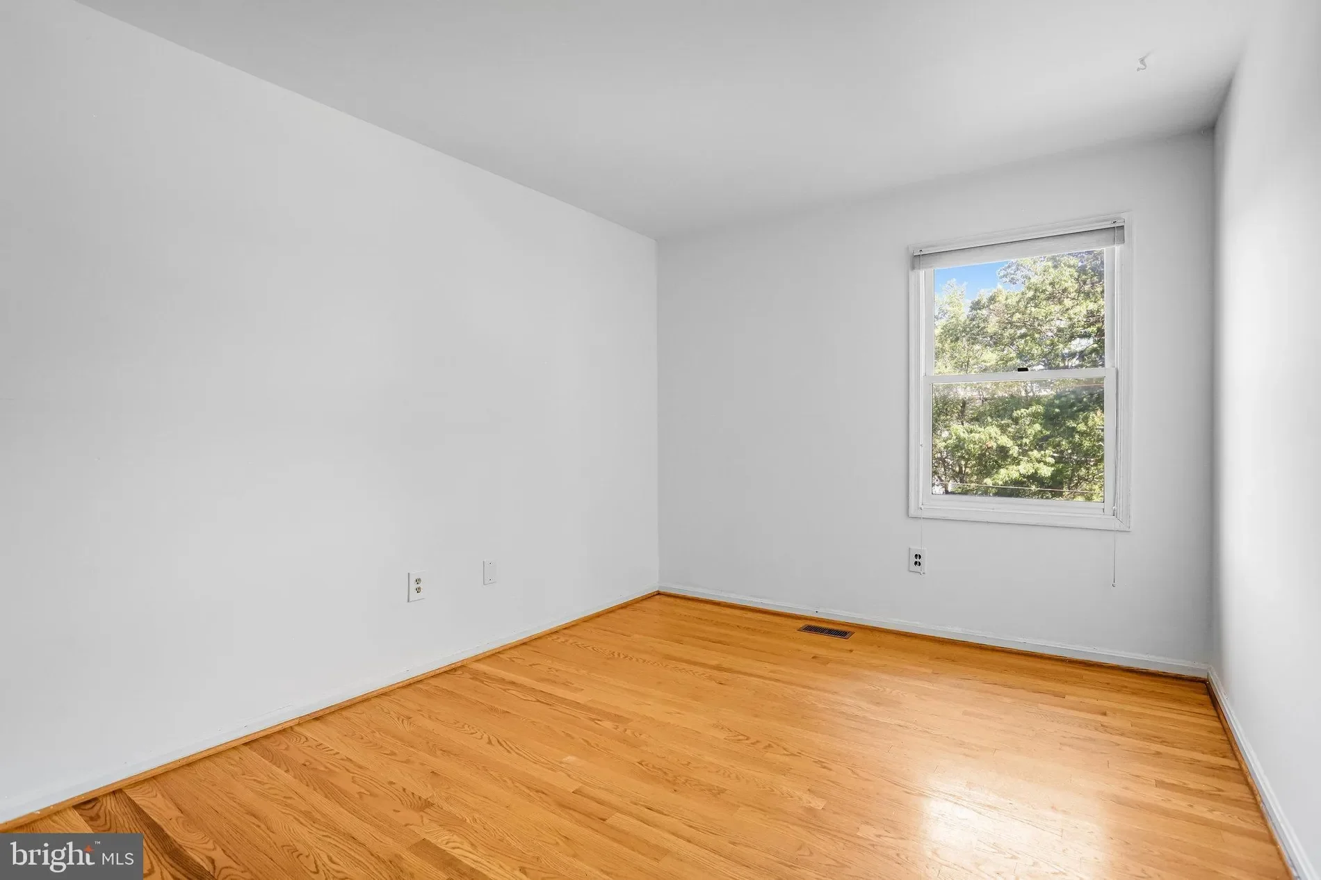 Gallery photo 4