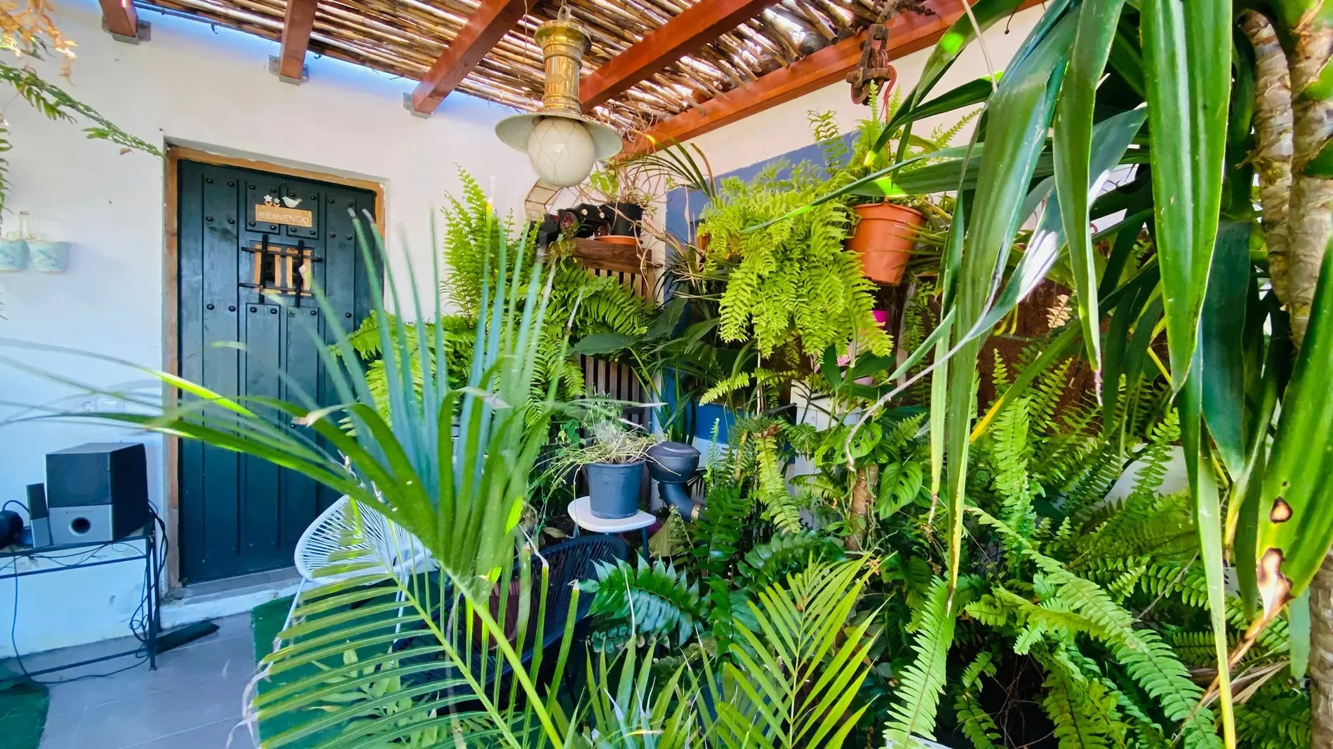 Gallery photo 7