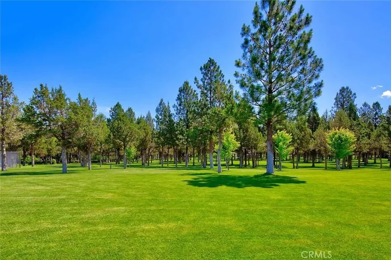 15733 Juniper Peak Road, Weed, CA 96094, Weed, California, United States. - Photo 15