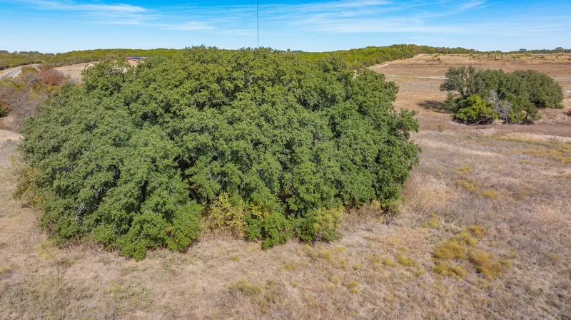 14565 Fm-2481, Bluff Dale, TX 76433, Bluff Dale, Texas, United States. - Photo 22
