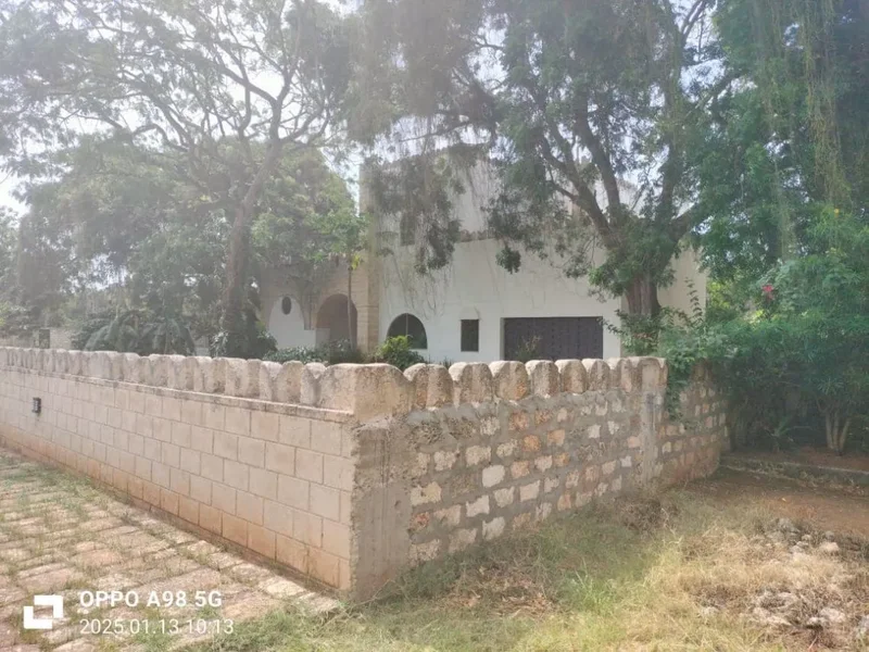 Watamu Beach, Kenya, Watamu Beach, Kilifi County, Kenya. - Photo 29