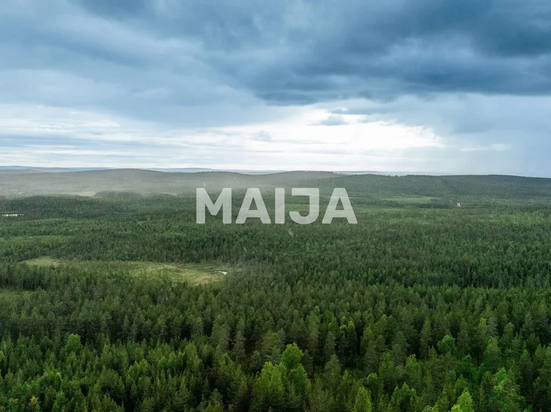 Pitkävaarantie, Kemijärvi, Lapland, Finland. - Photo 2