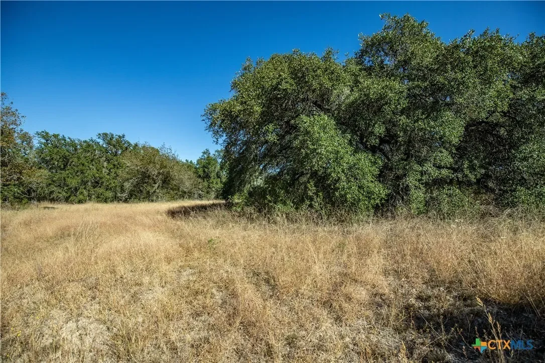 21123 Lamm Road, Elmendorf, TX 78112, Elmendorf, Texas, United States. - Photo 31