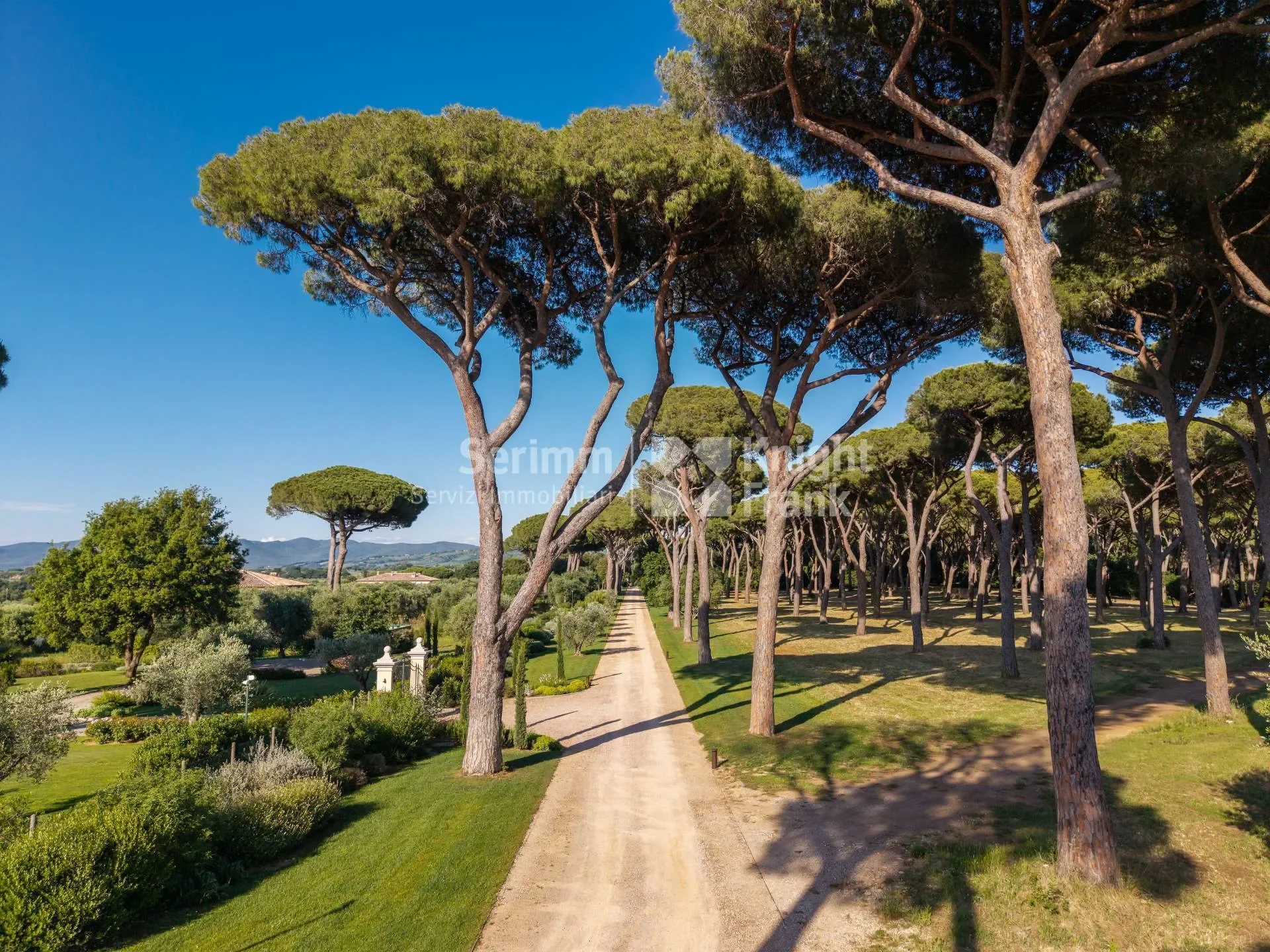 Castagneto Carducci, Castagneto Carducci, Tuscany, Italy. - Photo 8