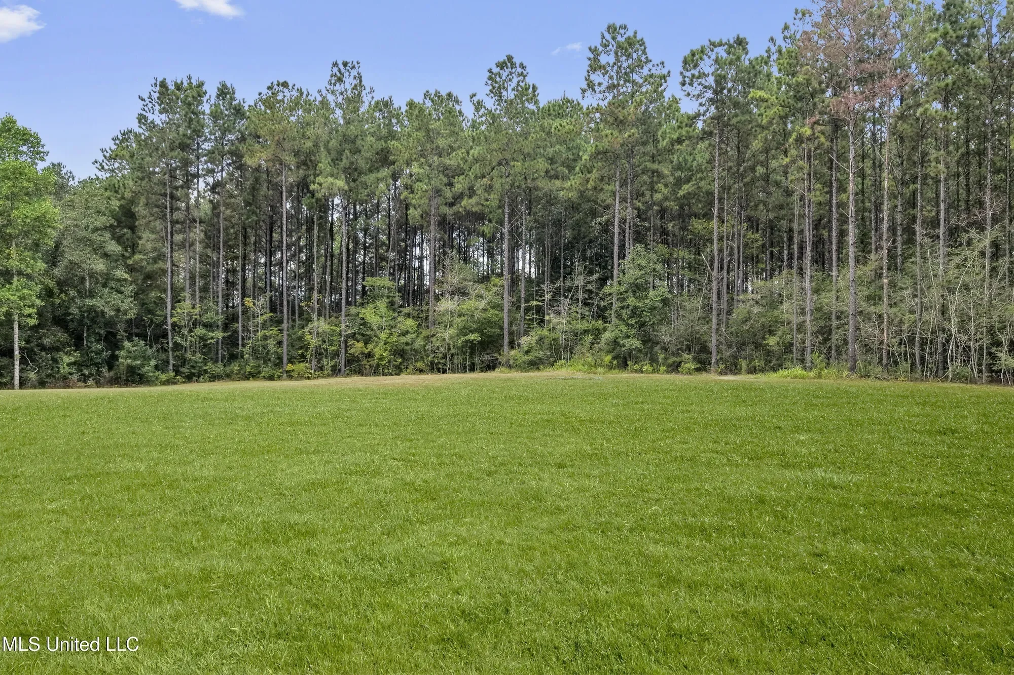 17341 Doc Lizana Road, Gulfport, MS 39503, Gulfport, Mississippi, United States. - Photo 55
