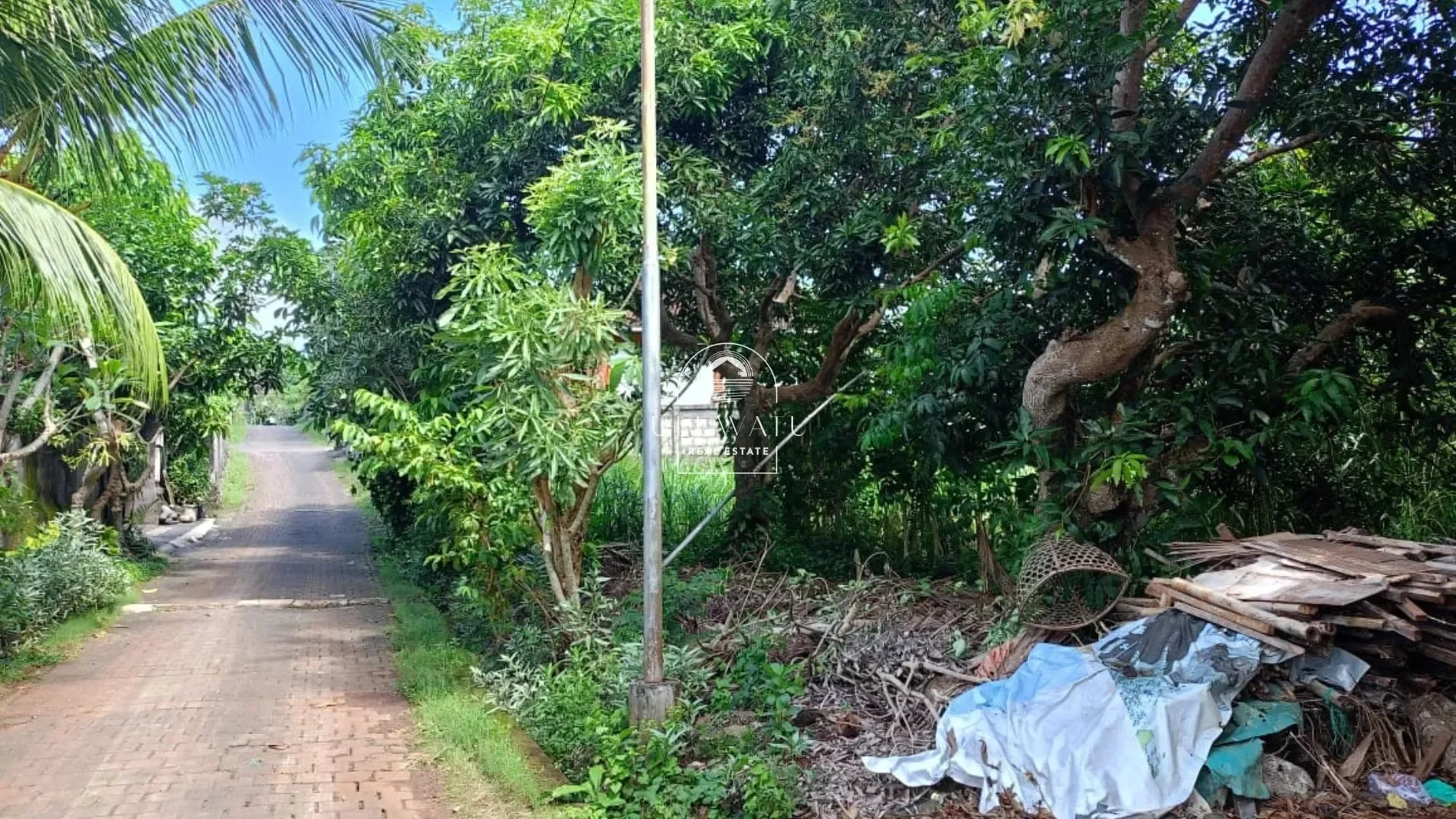 Exterior photo 4