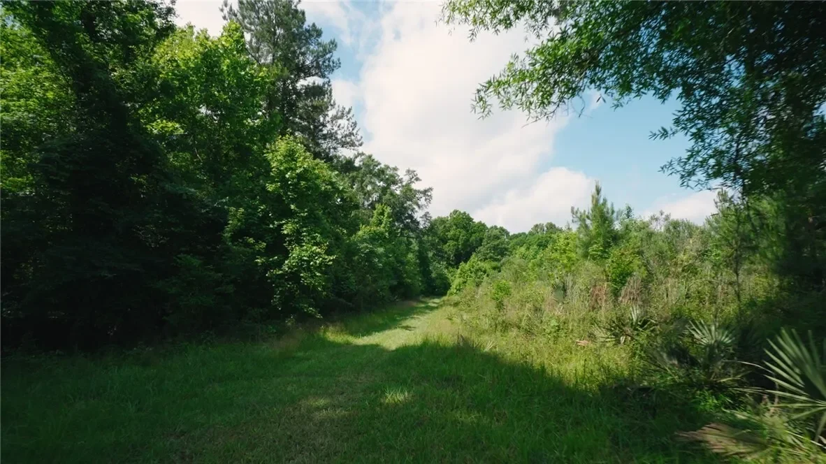 0 East River Road, Other, GA 31544, Jacksonville, Georgia, United States. - Photo 8