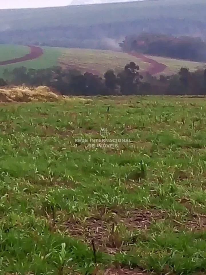Farm with 212 alqueiresenbsp; for sale in the region of Itapeva / SP.