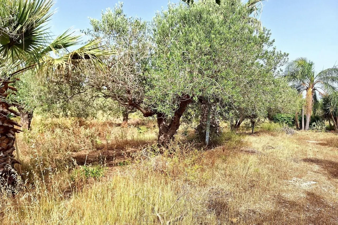Via Locogrande, N. 61, Locogrande, Sicily, Italy. - Photo 12
